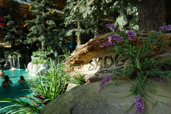1 1
