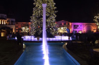 dscf2352 dscf2352