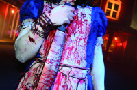 street 6 aliceinwonderland street 6 aliceinwonderland