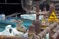rideonblog europa park saisonstart 2015 58 rideonblog europa park saisonstart 2015 58