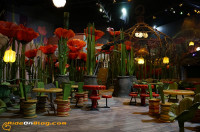 rideonblog europa park saisonstart 2015 62 rideonblog europa park saisonstart 2015 62