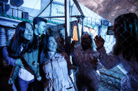 horror nights 2016 050 horror nights 2016 050