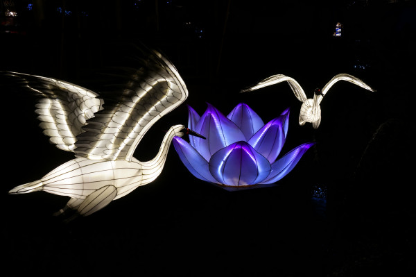 DSC04221 909 DSC04221 909