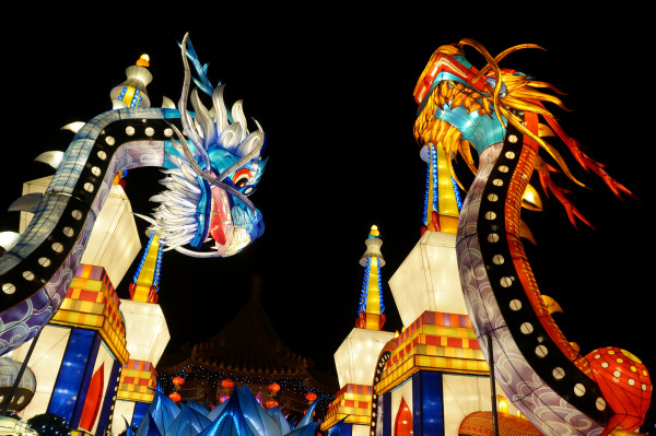 DSC04224 908 DSC04224 908