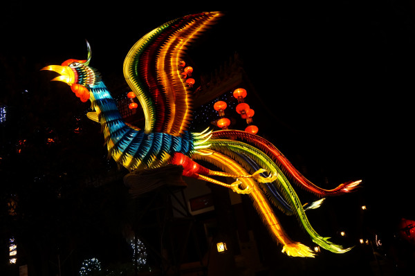 DSC04226 907 DSC04226 907
