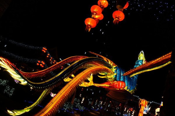 DSC04228 906 DSC04228 906