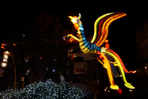 DSC04229 905 DSC04229 905