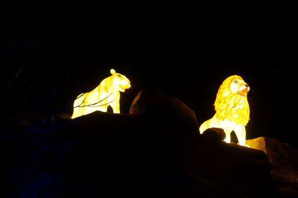 DSC04243 900 DSC04243 900