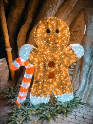 1116e53f 0b7a 4f2c 8706f489811376