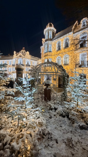 979033d6 5c6c 4d11 88a5fcfe0