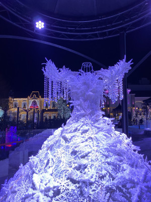 dsc09744 4565a 6271 1920 1276